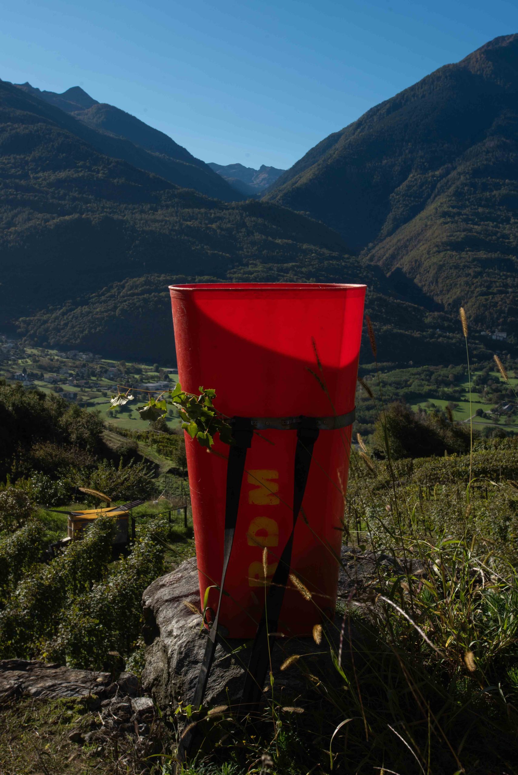 ChiSiamo_Carosello_07